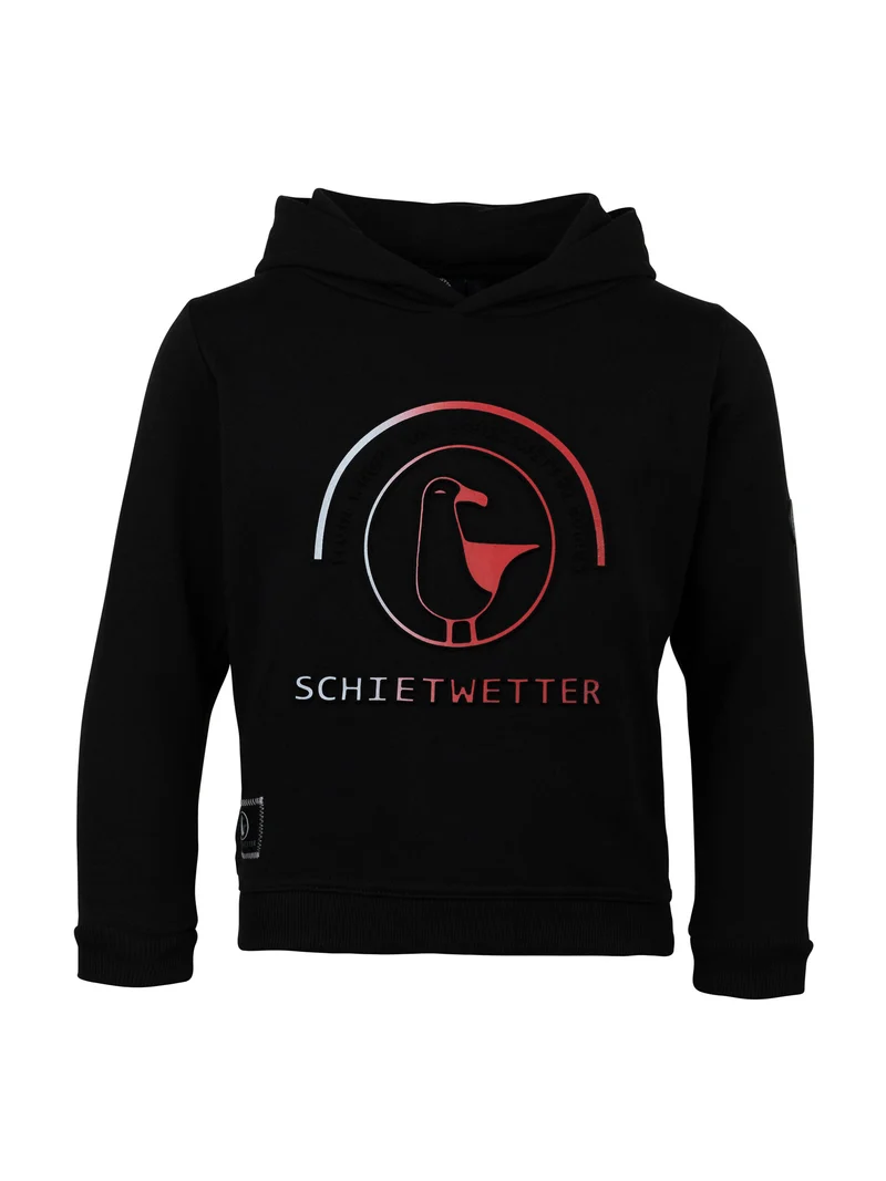 Hoodie Max 3-D Print