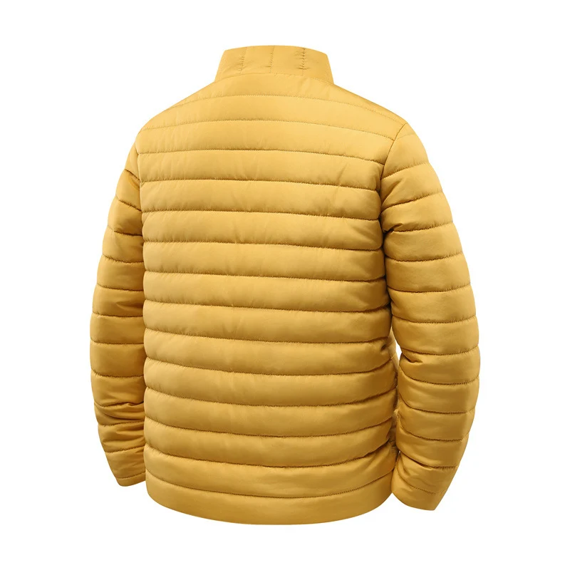 Herren Steppjacke mit leichter Thermoisolierung und hohem Stehkragen Drune