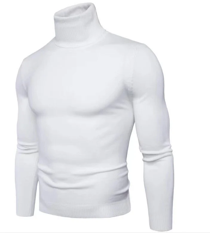 Herren modischer Rollkragenpullover aus feiner Merinowolle Drune