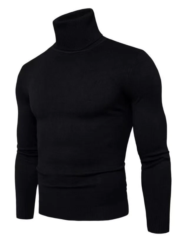 Herren modischer Rollkragenpullover aus feiner Merinowolle Drune
